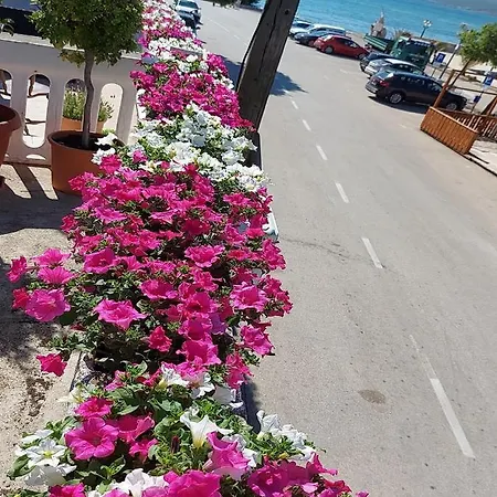 Marjan Apartment