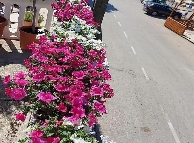 Marjan Διαμέρισμα